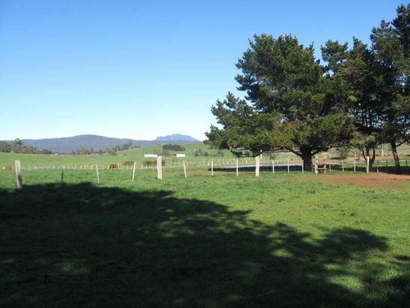 264 RITCHIE STREET, Westbury TAS 7303