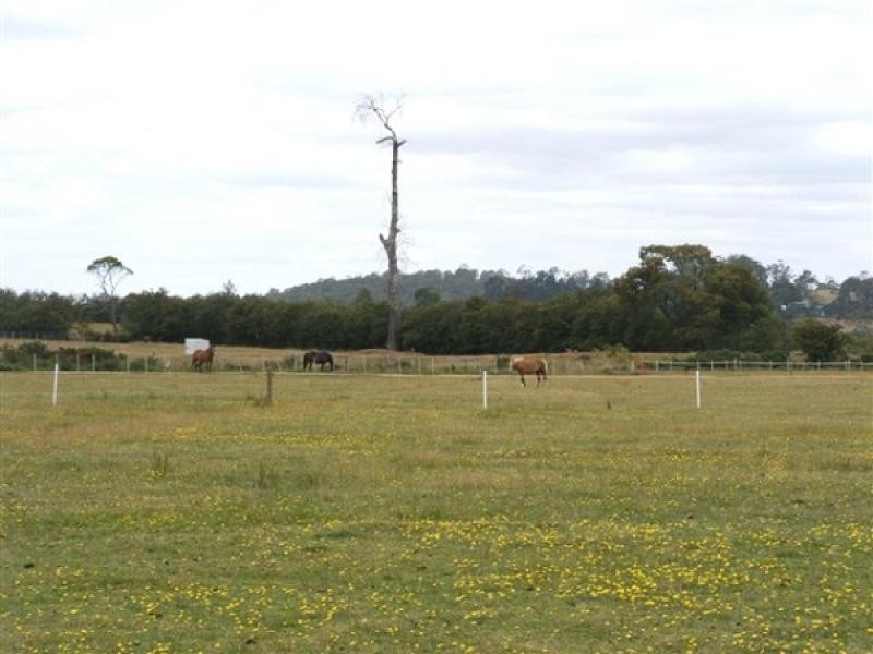 85 FRANKLIN STREET, Westbury TAS 7303