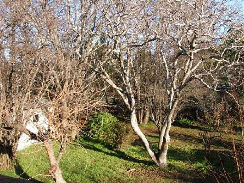 156 King Street, Westbury TAS 7303