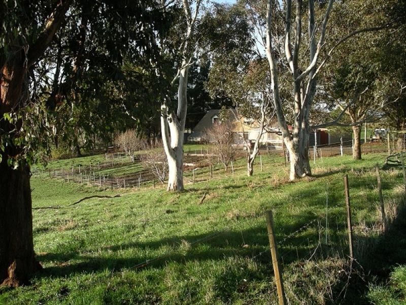 909 Selbourne Road, Selbourne TAS 7292