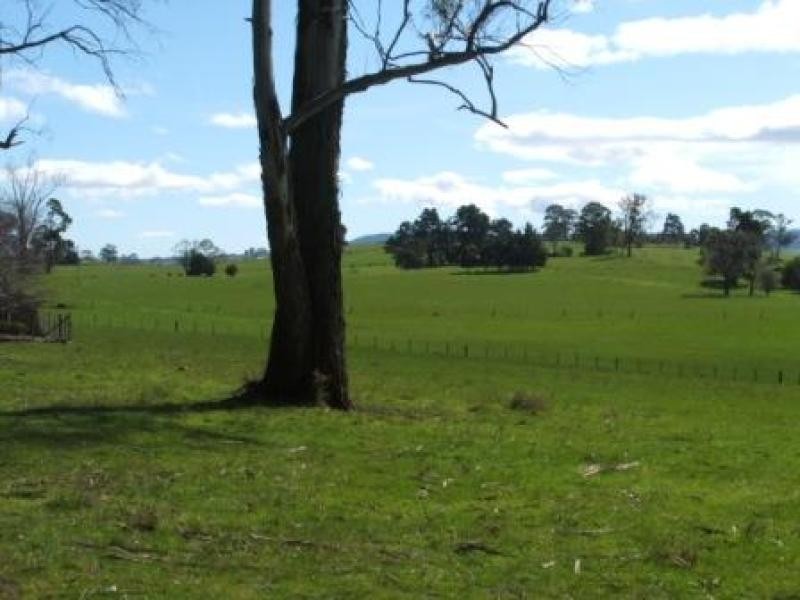 40 Dunhams Road, Deloraine TAS 7304