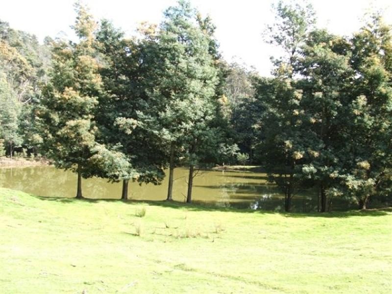 146 Smiths Road, Flowery Gully TAS 7270