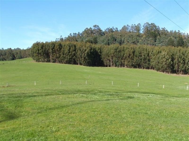 146 Smiths Road, Flowery Gully TAS 7270
