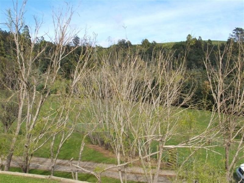 146 Smiths Road, Flowery Gully TAS 7270