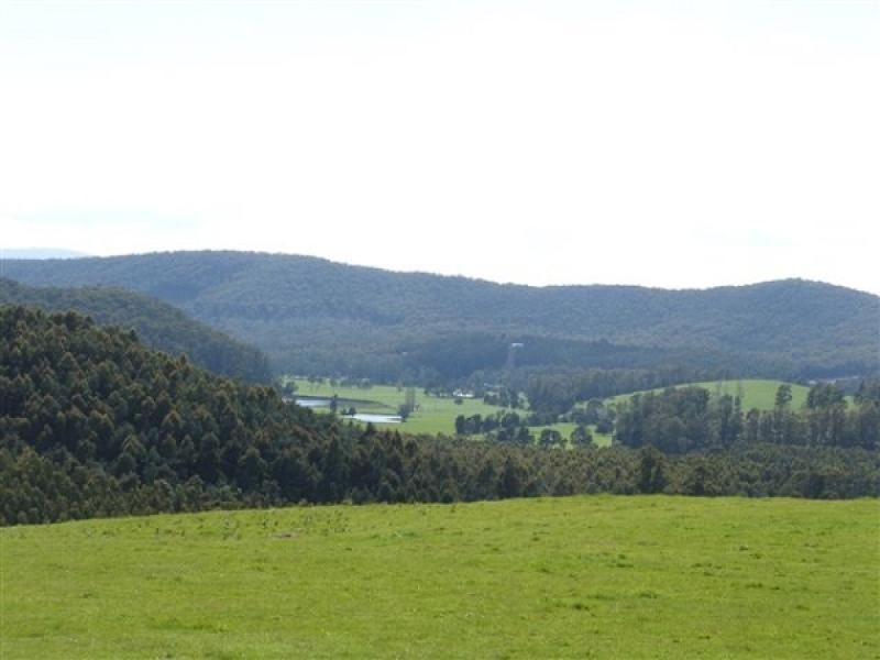 146 Smiths Road, Flowery Gully TAS 7270