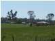 446 Birralee Road, Westbury TAS 7303