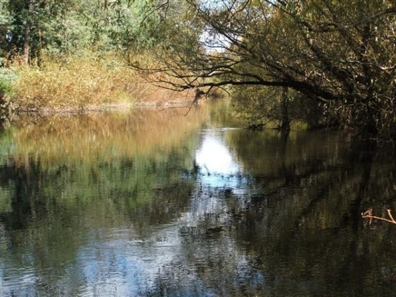 290 River Road, Deloraine TAS 7304