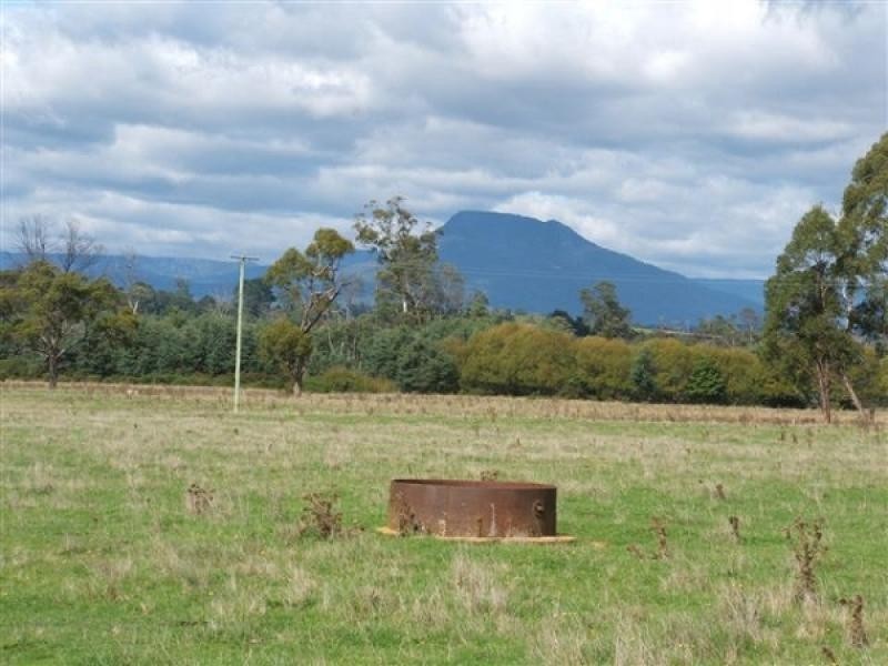 290 River Road, Deloraine TAS 7304