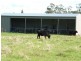 290 River Road, Deloraine TAS 7304