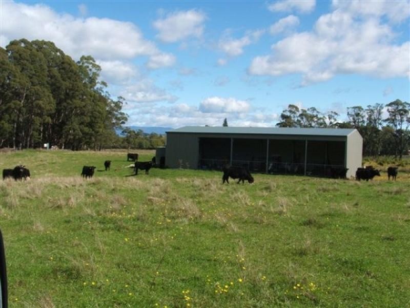 290 River Road, Deloraine TAS 7304