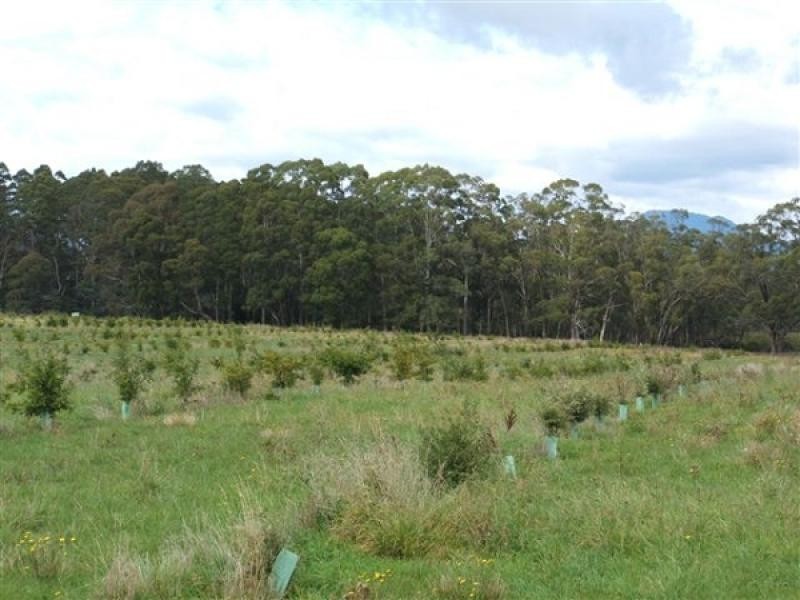 290 River Road, Deloraine TAS 7304