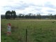 290 River Road, Deloraine TAS 7304