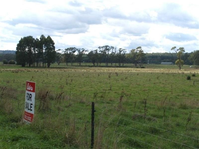 290 River Road, Deloraine TAS 7304