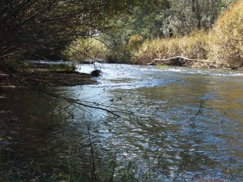 290 River Road, Deloraine TAS 7304
