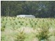 290 River Road, Deloraine TAS 7304