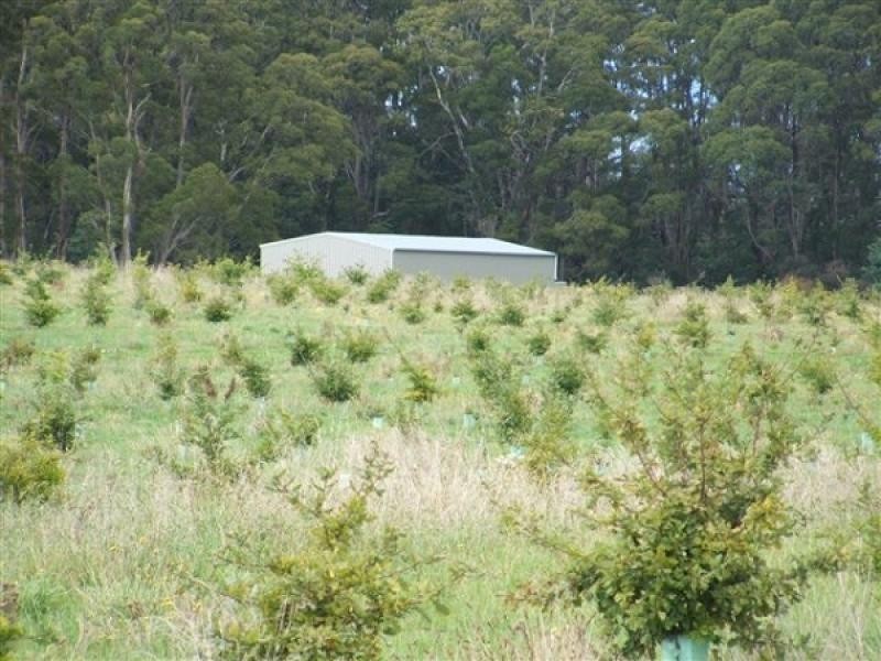 290 River Road, Deloraine TAS 7304