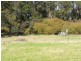 290 River Road, Deloraine TAS 7304