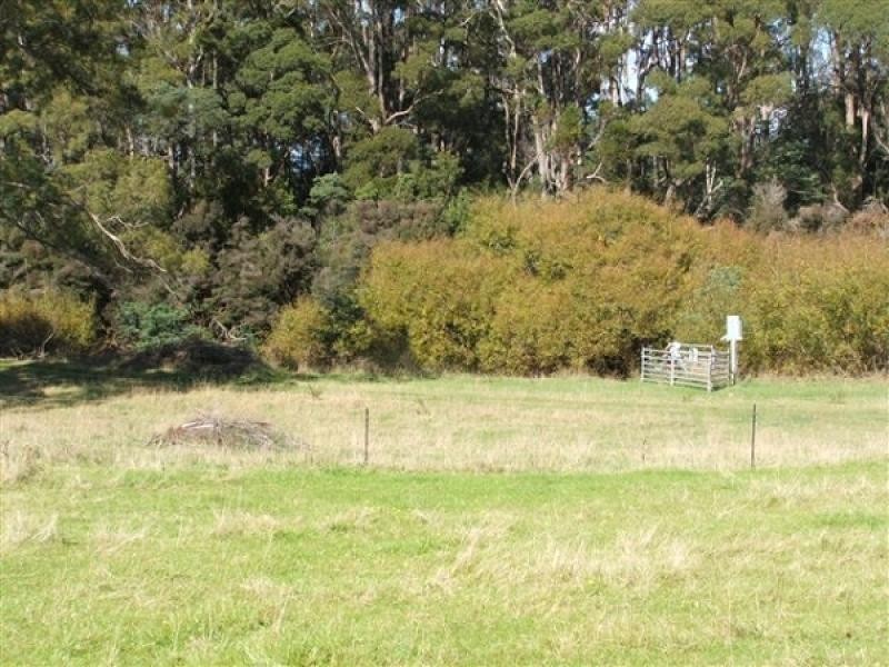 290 River Road, Deloraine TAS 7304