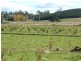 290 River Road, Deloraine TAS 7304