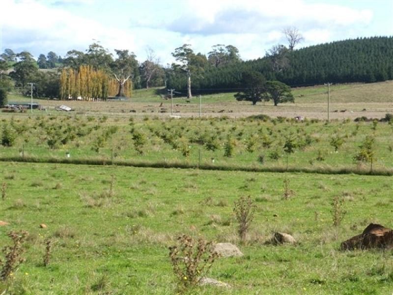 290 River Road, Deloraine TAS 7304