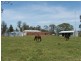 446 Birralee Road, Westbury TAS 7303