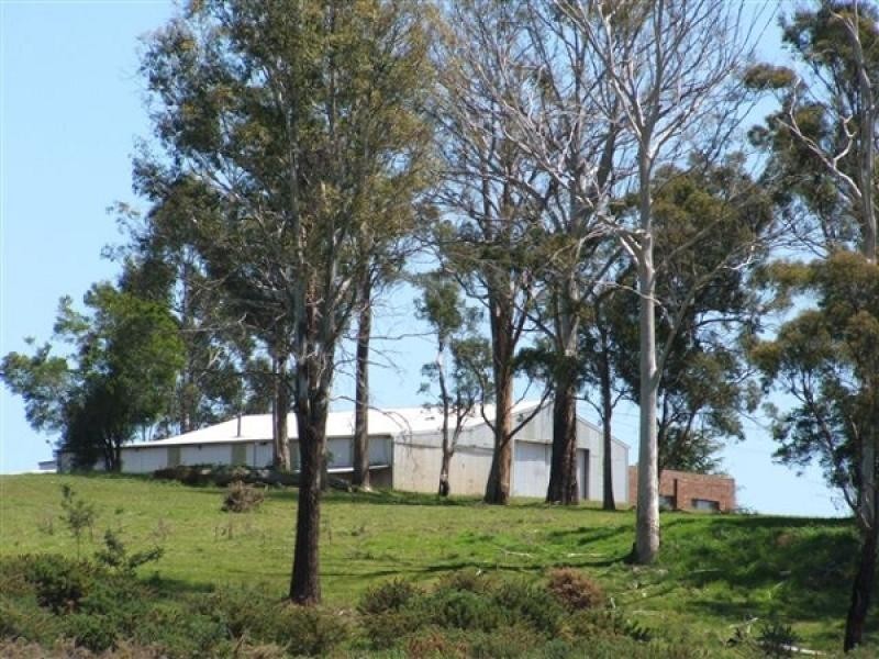 446 Birralee Road, Westbury TAS 7303