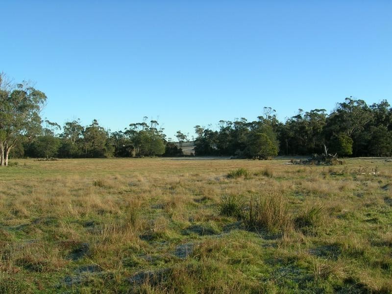 2960 BRIDPORT ROAD, Bridport TAS 7262