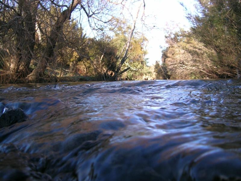 2960 BRIDPORT ROAD, Bridport TAS 7262