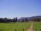 97 RINGAROOMA ROAD, Legerwood TAS 7263