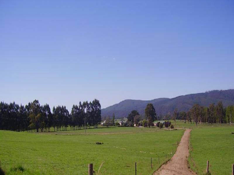 97 RINGAROOMA ROAD, Legerwood TAS 7263