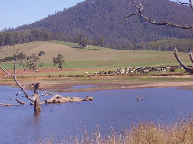 97 RINGAROOMA ROAD, Legerwood TAS 7263