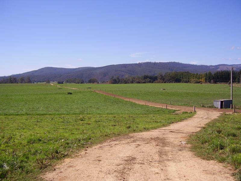 97 RINGAROOMA ROAD, Legerwood TAS 7263