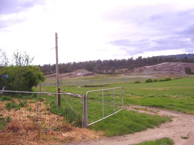 1152 FORESTER ROAD, Scottsdale TAS 7260
