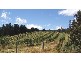 413 DOAKS ROAD, Lilydale TAS 7268