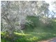 Lot 1 Houghton Hollow Road, Houghton SA 5131