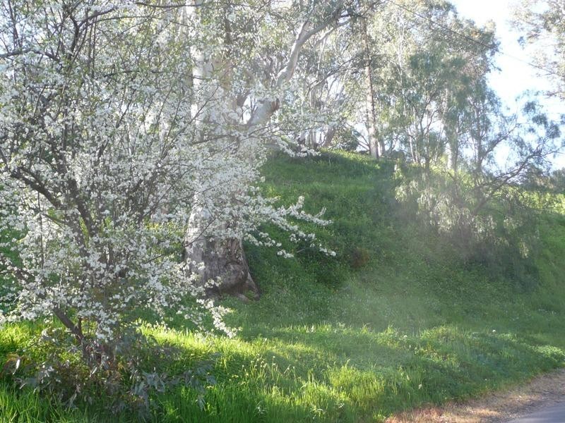 Lot 1 Houghton Hollow Road, Houghton SA 5131