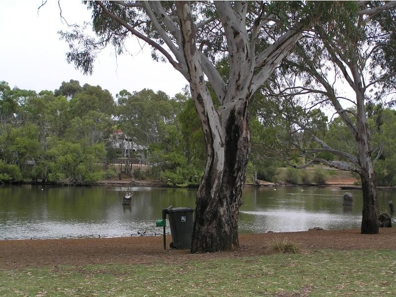 47 PARK LAKE DRIVE, Wynn Vale SA 5127