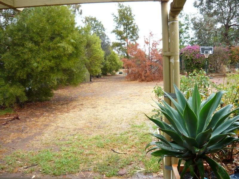 113 Peerless Road, Munno Para West SA 5115