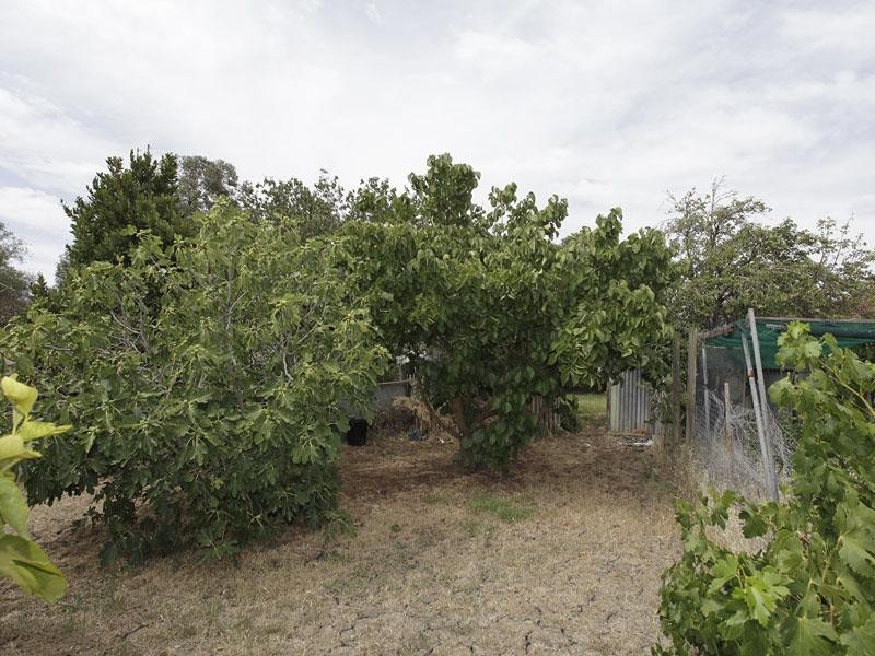 25 Lurline Ave, Gilles Plains SA 5086