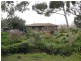 11 Seymour Ave, Modbury SA 5092