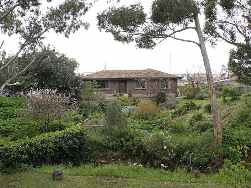 11 Seymour Ave, Modbury SA 5092