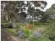 11 Seymour Ave, Modbury SA 5092