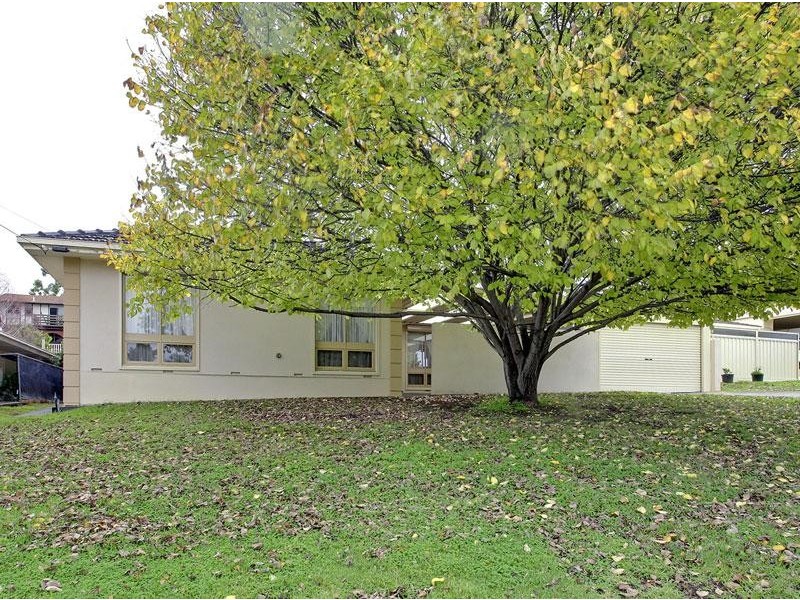 56 Salisbury Ave, Valley View SA 5093