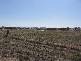 Murrumbateman NSW 2582
