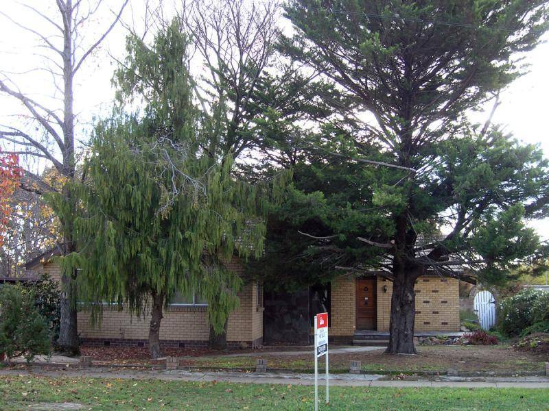 35 BERRIGAN STREET, O’connor ACT 2602