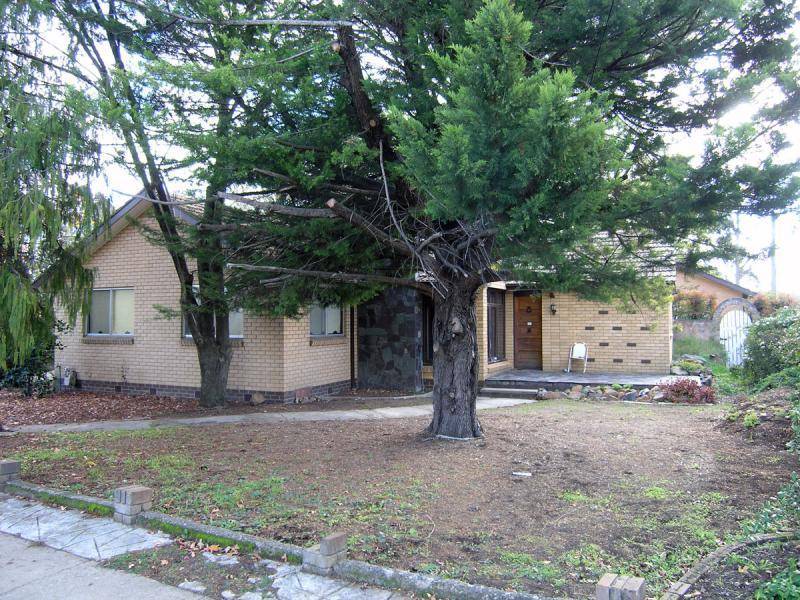 35 BERRIGAN STREET, O’connor ACT 2602