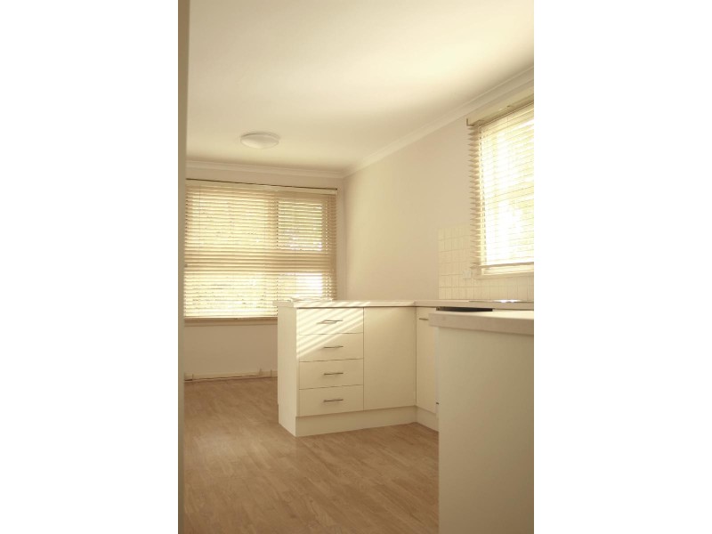 19 BURSARIA STREET, O’connor ACT 2602