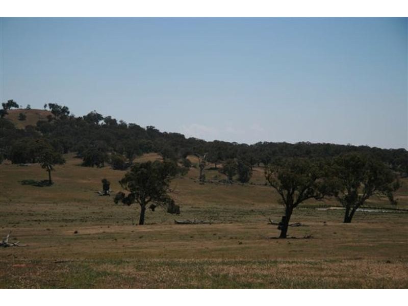 – ‘RED HILLS’, Hall ACT 2618