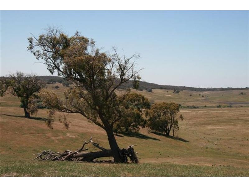 – ‘RED HILLS’, Hall ACT 2618