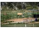 75 Kia-Ora Lane, Sutton NSW 2620
